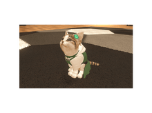 Charger l'image dans la galerie, alt1