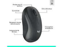 Charger l'image dans la galerie, Souris noire. Clics silencieux, design ambidextre.