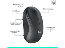 Charger l'image dans la galerie, alt1