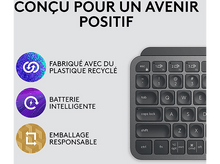 Charger l'image dans la galerie, alt1