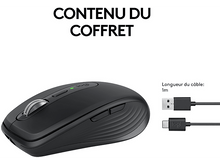 Charger l'image dans la galerie, alt1
