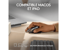 Charger l'image dans la galerie, alt1