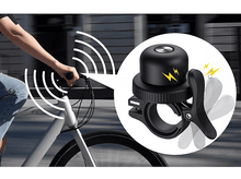 Charger l'image dans la galerie, alt1