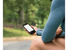 Charger l'image dans la galerie, alt1