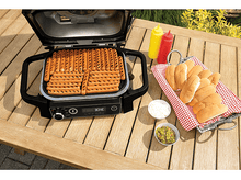 Charger l'image dans la galerie, alt1