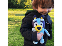 Charger l'image dans la galerie, alt1