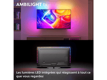 Charger l'image dans la galerie, alt1