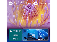 Charger l'image dans la galerie, alt1