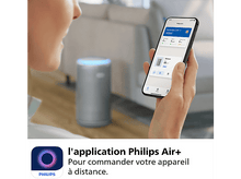 Charger l'image dans la galerie, alt1