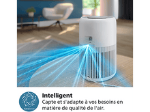 Charger l'image dans la galerie, alt1