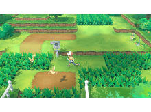 Charger l'image dans la galerie, Un garçon court dans un champ vert, avec un panneau et des Pokémon.