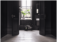 Charger l'image dans la galerie, Intérieur moderne avec une trottinette électrique et une plante. Murs sombres et plancher en bois.