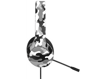 Charger l'image dans la galerie, alt1