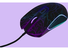 Charger l'image dans la galerie, alt1