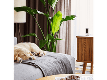 Charger l'image dans la galerie, alt1