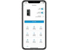 Charger l'image dans la galerie, alt1