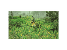 Charger l'image dans la galerie, alt1