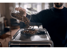 Charger l'image dans la galerie, alt1