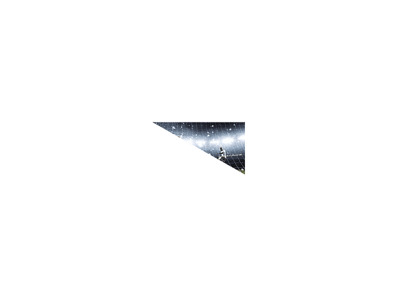 alt1