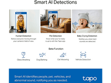 Charger l'image dans la galerie, Graphiques de détection IA : personne, animal de compagnie, bébé qui pleure ; fonctions bêta.