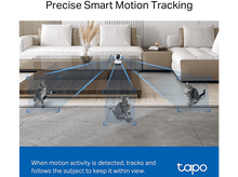 Charger l'image dans la galerie, Chats et caméra avec des lignes bleues pointant.