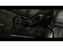 Charger l'image dans la galerie, alt1