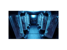 Charger l'image dans la galerie, alt1