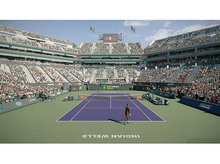Charger l'image dans la galerie, Un court de tennis avec un joueur de tennis dessus. Les tribunes sont pleines de monde.