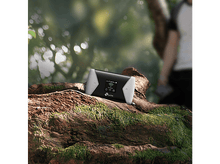 Charger l'image dans la galerie, alt1