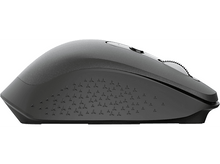 Charger l'image dans la galerie, alt1