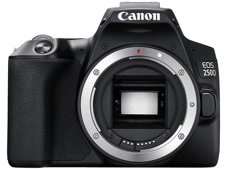 CANON Appareil photo reflex EOS 250D BODY (3454C001AA)