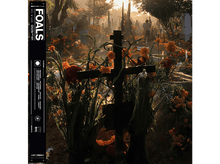 Charger l&#39;image dans la galerie, Foals - Everything Not Saved Will Be Lost: Part II LP
