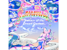 Charger l&#39;image dans la galerie, Red Hot Chili Peppers - Return Of The Dream Canteen - LP
