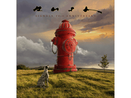 Rush - Signals (LTD) LP