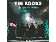 Charger l&#39;image dans la galerie, The Kooks - 10 Tracks To Echo In The Dark LP
