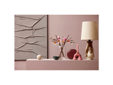 11510 Branches de magnolia