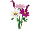 11514 Les cosmos Éléments de construction Multicolore