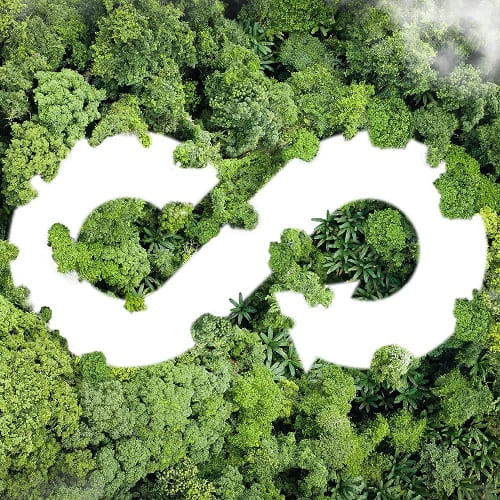 Symbole infini stylisé à la manière d'un fleuve dans une forêt.