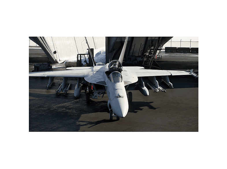 alt1