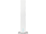 alt1