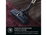 AEG Aspirateur Clean 6000 (AB61C3GG)