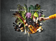 Charger l'image dans la galerie, alt1
