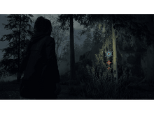 Charger l&#39;image dans la galerie, Alan Wake II : Deluxe Edition - PS5
