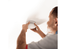 Charger l'image dans la galerie, alt1
