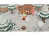 Animal Crossing: New Horizons FR - Switch 2