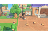 Animal Crossing: New Horizons FR - Switch 2