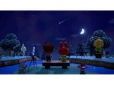 Animal Crossing: New Horizons FR Switch