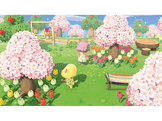 Animal Crossing: New Horizons FR Switch