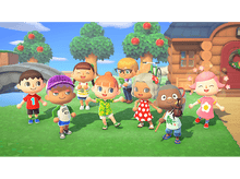 Charger l&#39;image dans la galerie, Animal Crossing: New Horizons FR Switch
