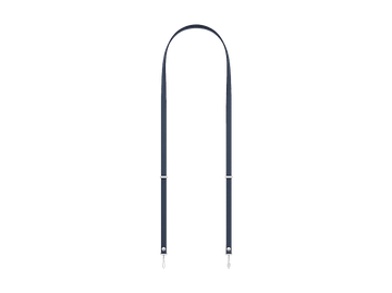 alt1